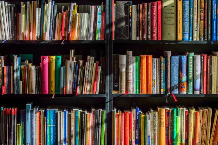 nella foto, scaffale con libri