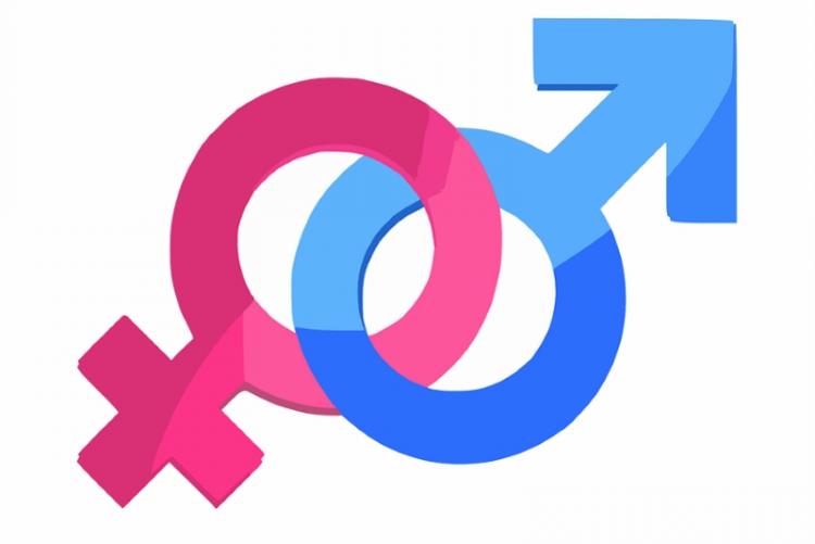 Immagine dei simboli del genere femminile e del genere maschile