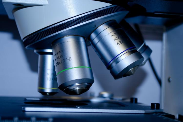 Immagine di un microscopio
