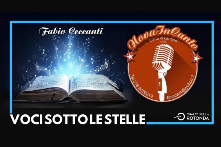 immagine della locandina