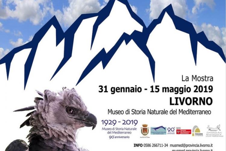 Mostra "Rapaci, maestosi battiti d'ali"
