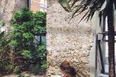 Alveare scuola infanzia la serra